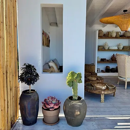 Casa De Oro Lujo 4* Σωζόπολη