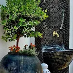 Casa De Oro Lujo